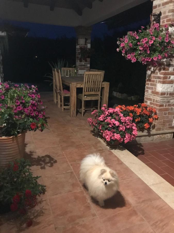 Villa Eva Karigador Novigrad  Luaran gambar