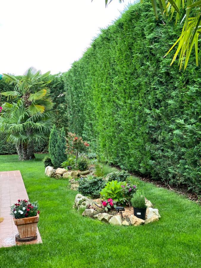 Villa Eva Karigador Novigrad  Luaran gambar