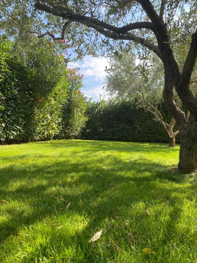 Villa Eva Karigador Novigrad  Luaran gambar